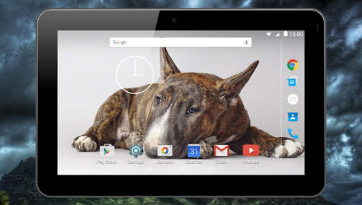 Fighting Dogs Live Wallpaper screenshot 9