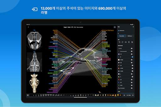 vet-Anatomy screenshot 10