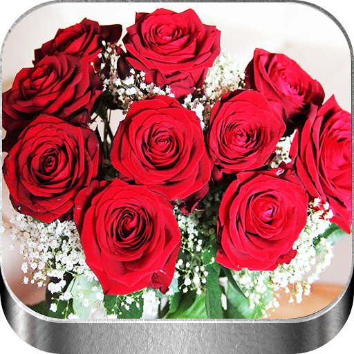 Flores y Rosas Rojas imágenes  icon