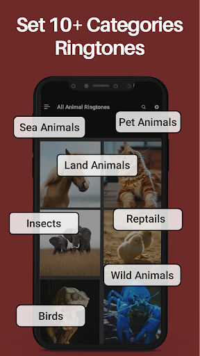 Animal Ringtones & Bird Sounds screenshot 1