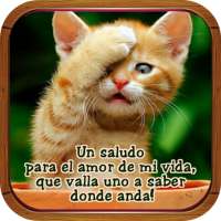 Imágenes Con Mensajes Bonitos on 9Apps
