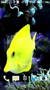 Fish Live Video Wallpaper screenshot 3