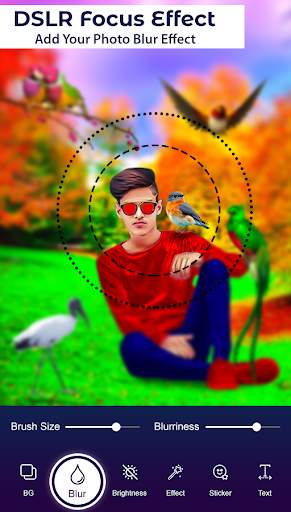 Bird Photo Editor screenshot 5