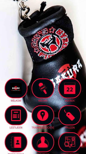Kickboxing Sakura screenshot 1