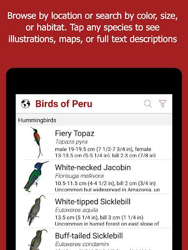 Birds of Peru screenshot 12
