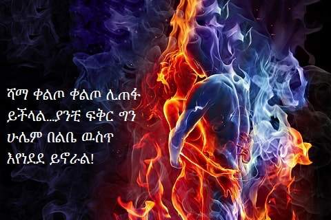 እኔና አንቺ - Ethiopian Couples Conversation скриншот 9