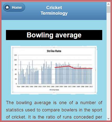 Cricket Language &Terminology screenshot 5