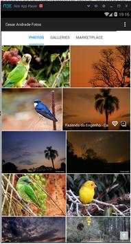 Fotos de Cesar Andrade screenshot 6