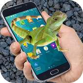 Lizard on Screen