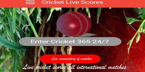 Cricket Now Update All Crick Info you need screenshot 4