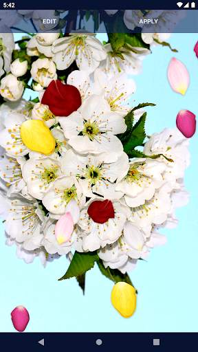 Spring Petals Live Wallpaper screenshot 8