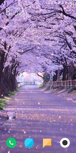 Cherry Blossom Live Wallpaper screenshot 1