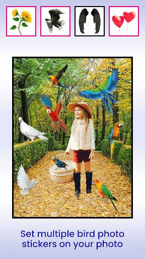 Bird Photo Editor screenshot 6