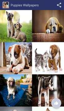 Puppies Wallpapers screenshot 4