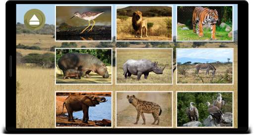 Animal Sounds screenshot 3