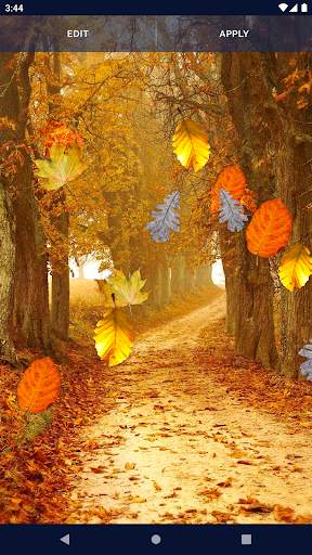 Autumn Leaves Live Wallpaper screenshot 6