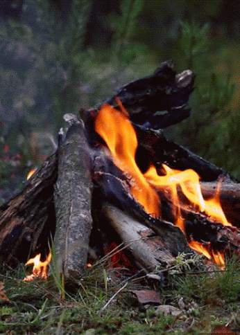 Bonfire Live Wallpaper screenshot 4