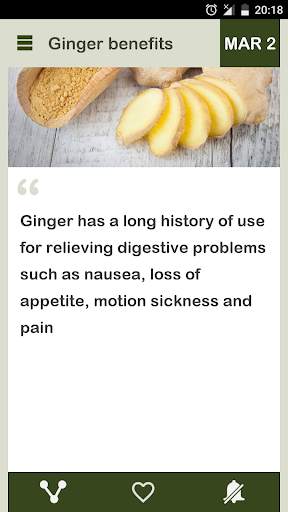 Ginger - Magic Herb Daily screenshot 6