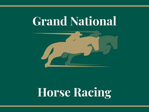 Horse Racing for Grand national screenshot 1
