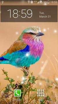Spring Birds screenshot 6