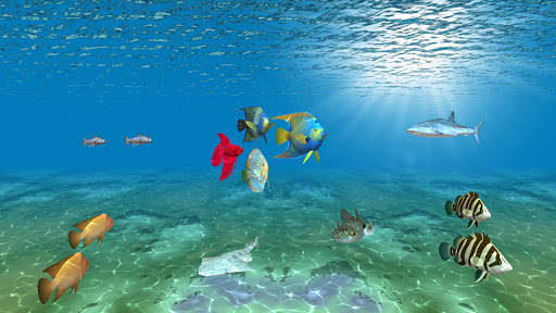 Ocean Fish Under Water Live Wallpaper screenshot 14