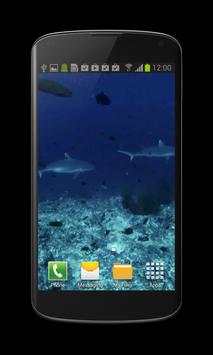 Shark Video Wallpaper Free screenshot 2