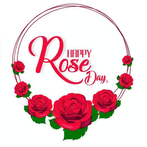 Rose Day 1.6