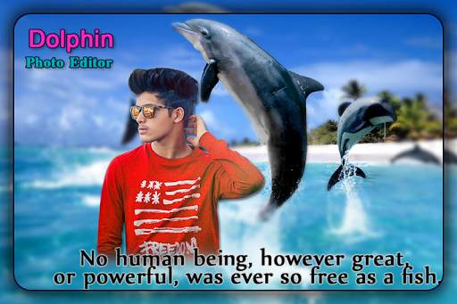 Dolphin Photo Editor screenshot 4