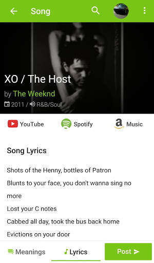 Lyreka - Song Lyrics & Meaning screenshot 2