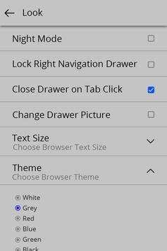 Indian Browser screenshot 3