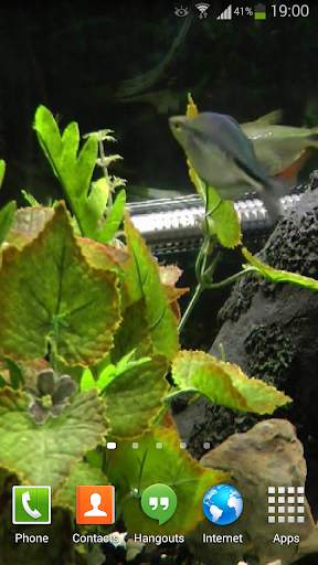 Fish Live Wallpaper HD 2 screenshot 8