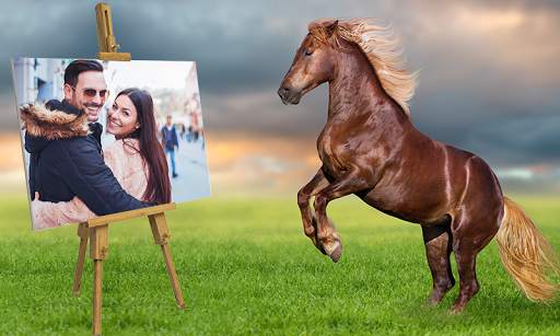 Horse Photo Frames screenshot 8
