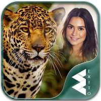 Wild Animal Photo Frames
