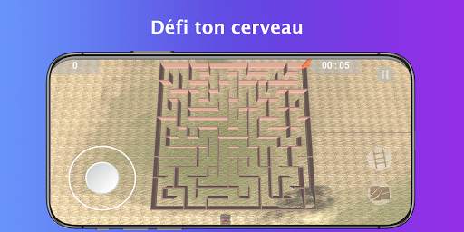 Maze Runner 3D - Jeu de labyrinthe et de puzzle screenshot 2