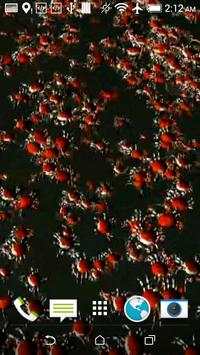 Crabs 3D Wallpaper screenshot 5