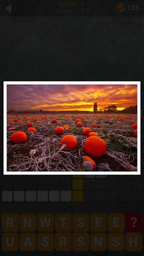 150 Photo Crosswords screenshot 4