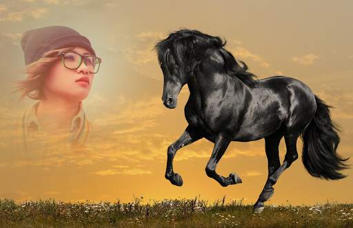 Horse Photo Frames screenshot 4