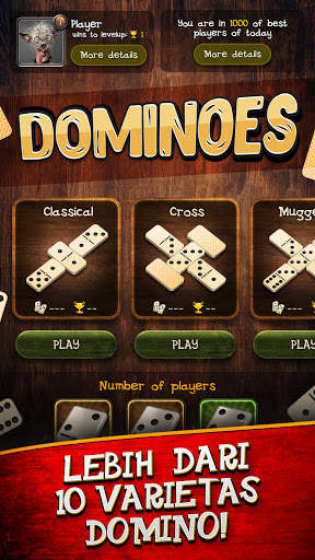 Domino screenshot 4