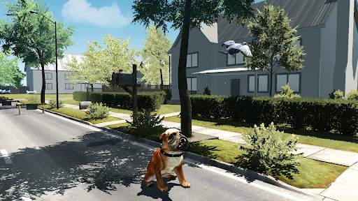 Bull Dog Simulator screenshot 2