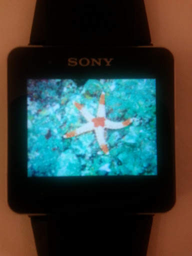 SmartWatch Gallery screenshot 4