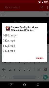 V-Made HD Video Downloader screenshot 2
