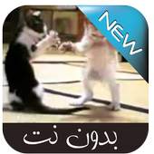 رد علينا يا بابا 1.0.0