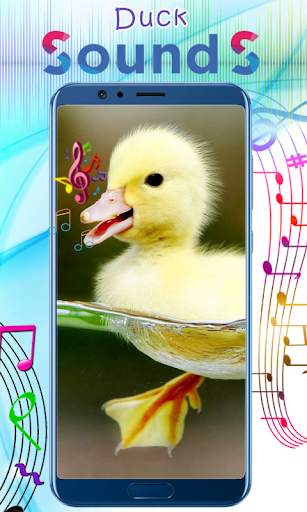 Duck Sounds 1 تصوير الشاشة