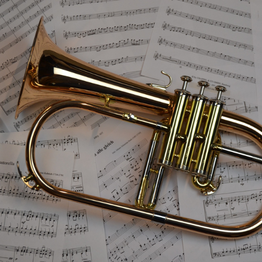 Trumpet sound effect icon
