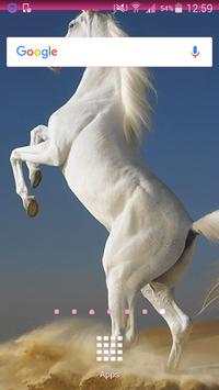 Horse Wallpapers screenshot 2