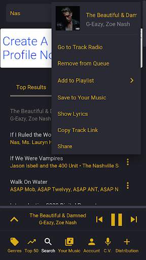 PVE Music Xstream screenshot 9