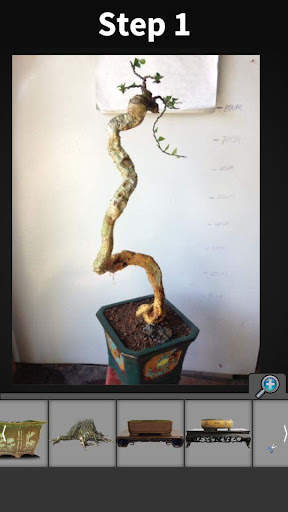 My Bonsai screenshot 3