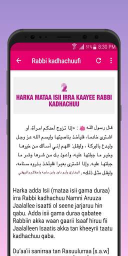 Adaba Guyyaa Cidhaa screenshot 5
