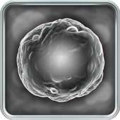 Microorganisms