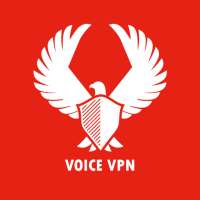 Voice VPN logo